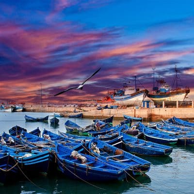 Vista del puerto de Essaouira durante un atardecer rosado, con las icónicas barcas de pesca azules en primer plano, parte de un viaje a medida por Marruecos.