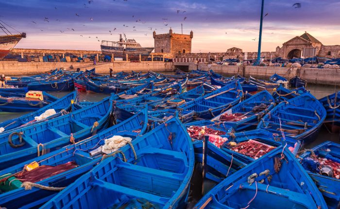 Barcas azules en el puerto de Essaouira en viaje gran tour morocco indigo