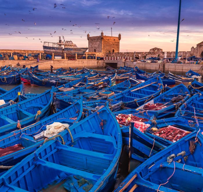 Barcas azules en el puerto de Essaouira en viaje gran tour morocco indigo