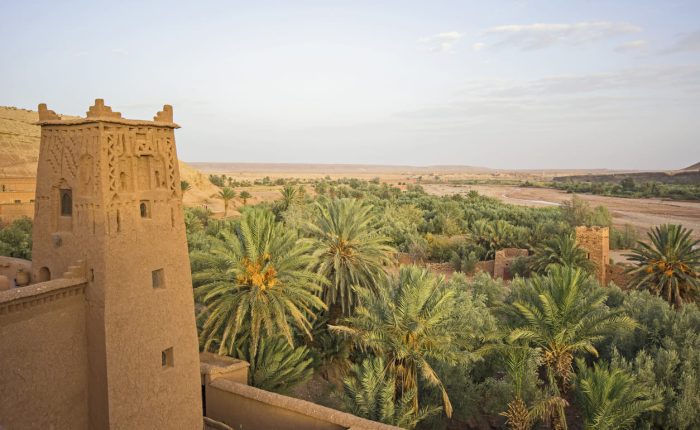 oasis y kasbah en viaje ruta serena morocco indigo