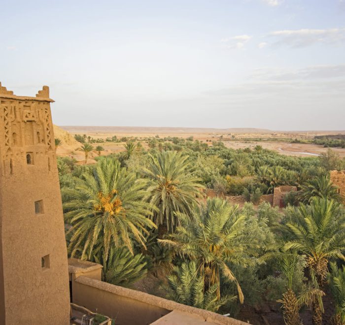 oasis y kasbah en viaje ruta serena morocco indigo