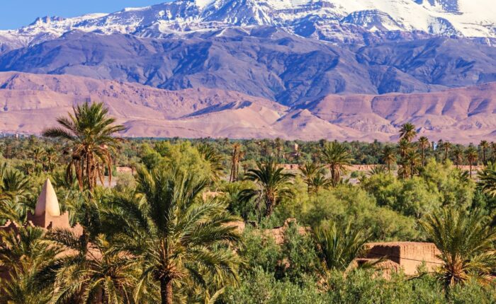 Tour privado Atlas y desierto 8 dias de Marrakech a Tánger