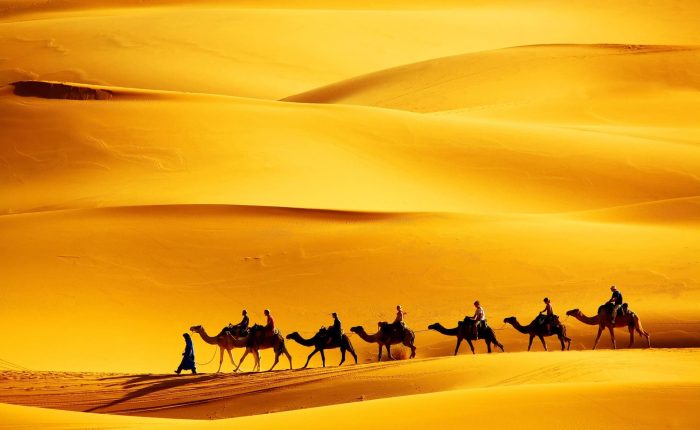 caravana dromedarios en dunas merzouga viaje aventura equilibrada morocco indigo
